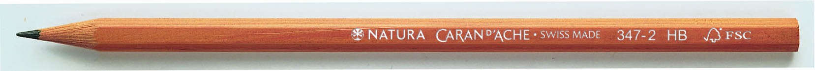 School Graphite Pencils Natura HB-12 pencils